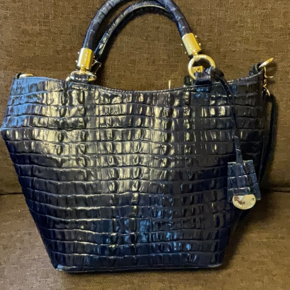 Blue Brahmin